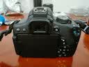 佳能/Canon 600D 700D 750D 760D 800D 850D新手学生入门旅游高清二手单反相机 750D+18-55 IS STM【套机】 准新 实拍图