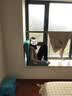Lazy Diary 日式懒人沙发单人折叠阳台小沙发飘窗客厅躺椅布艺休闲沙发椅 升级深蓝色-透气细麻+乳胶 实拍图