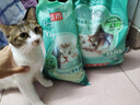 洁客豆腐猫砂 植物结团豆腐猫沙低尘吸味除臭可冲马桶 奶香豆腐猫砂-2.72kg 实拍图