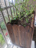 斗途园艺 防腐木花箱实木花盆长方形阳台种菜盆景特大种植箱户外支持定制 长宽高60*30*40 大 实拍图