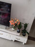 钟爱（love）云南昆明鲜花基地直发红玫瑰花斗南直批家庭水养玫瑰花活动 金辉（16支+4支防损耗） 实拍图
