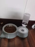 华元宠具华元 猫粮盆狗碗狗盆猫盆猫碗双碗狗狗猫食盆饭盆不锈钢宠物碗猫 猫耳式 御纳蓝-店长推荐 实拍图