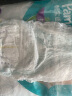 帮宝适绿帮拉拉裤L172片(9-14kg)尿不湿尿裤成长裤超薄透气 实拍图