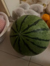 海南麒麟西瓜 甜瓜 1粒装 单果2.5kg以上 新鲜水果 晒单实拍图