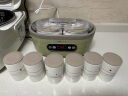 小熊（Bear）酸奶机 家用全自动大容量分杯米酒机酸奶发酵菌纳豆泡菜机SNJ-C10P2（浅绿） 晒单实拍图
