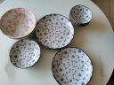 美浓烧（Mino Yaki） 日式进口餐具陶瓷碗面碗吃饭碗汤碗 6.3英寸小汤盘【16.0CM*4.5CM】 实拍图