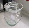 天喜（TIANXI）玻璃泡菜坛子家用加厚密封罐透明大容量咸菜罐泡酒瓶罐腌菜坛子 5斤装 晒单实拍图