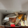 北京稻香村熟食礼盒1750g五香牛肉酱肘子肉类特产年货节日礼品送亲朋团购 实拍图