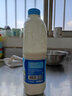 得益 LABS益生菌桶装酸奶 1.1kg\\桶 家庭装 1.1kg/2.2斤*3桶 实拍图