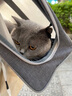 DO DO PET猫包宠物外出便携包夏天透气包猫咪手提包泰迪博美小狗太空舱拎包 灰色透气款（带肩带） L码-建议12斤内猫咪，10斤内狗狗 实拍图