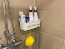 太力 浴室置物架免打孔卫生间置物架壁挂厕所吸盘收纳盒1个 30cm 实拍图