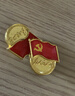 易利丰（elifo）磁吸党徽强磁2025最新版党员徽章党徽胸章别针款胸针国家标准款加厚2mm双面大磁扣蝴蝶镀金不褪色 实拍图