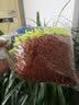 跃能洗车擦车海绵特大号吸水去污海绵块刷自行车手套汽车清洗用品珊瑚 雪尼尔海绵*1个 实拍图