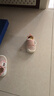 托姆贝克（ThomBaker）婴儿鞋子软底学步鞋夏季透气男女宝夏款网鞋防掉鞋宝宝鞋子 小熊肉粉网孔 18 (内长13.5cm) 适合脚长13CM 实拍图