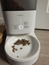 霍曼（Homerun）Real智能自动喂食器猫粮狗粮定时猫咪自动投食机 智能喂食器【配陶瓷碗】 晒单实拍图