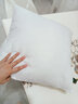 倾贝园高弹力抱枕芯方芯沙发靠垫芯十字绣糖果枕芯羽丝绒方垫芯饱满 高弹超细纤维【单只】  50*50适合45*45抱枕套 实拍图