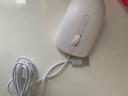戴尔（DELL） 笔记本台式机通用鼠标（USB有线 无线 光电 激光 蓝牙多种模式可选） 白色MS116有线光电鼠标 实拍图