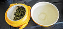 川盟新茶上市高山云雾茶100克/罐 四川雅安明前绿茶 毛尖春茶 云雾绿茶 实拍图