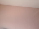 菲罗 现代简约素色纯色仿硅藻泥无纺布墙纸 客厅卧室电视背景墙壁纸 淡粉色-S50702 /卷 实拍图