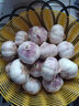 静益乐源山东紫皮蒜大蒜干大蒜蔬菜批发干蒜自种大蒜种子多瓣蒜当季蔬菜 2斤精品大蒜【40mm中果】2斤 精选今年大蒜 实拍图