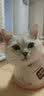 华元宠具（hoopet）猫梳子猫咪去浮毛梳毛刷宠物狗狗猫毛清理器幼猫按摩针梳开结除毛 橙绿梳子+led指甲剪（可照血线） 实拍图