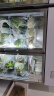 星星（XINGX）展示柜冷藏冰柜商用 超市饭店水果蔬菜大容量保鲜柜冰箱 802升 | BC-980Y 晒单实拍图