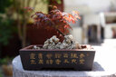 民法学说与判例研究(第三册) 王泽鉴 民法研究系列 实拍图