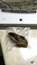 奥德居（AODEJU） 奥德居真空包装机食品保鲜袋 干果包装袋 纹路真空机专用袋 多种规格100个装 20*25CM100个装 实拍图
