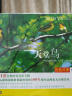 自然疗养SPA：天堂鸟（2 DSD CD） 实拍图