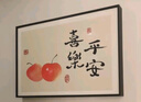 柳莺花燕免打孔电表箱装饰画现代简约客厅餐厅挂画电闸箱配电箱遮挡壁画 喜乐平安 60X50遮挡50X40表箱 上掀款 实拍图