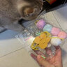 柒哦猫玩具套装猫咪玩具自嗨激光逗猫棒幼猫羽毛玩具薄荷球宠物玩具 【嗨玩套装】猫玩具6件套 实拍图