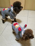 憨憨宠 狗狗衣服泰迪狗衣服中型犬柯基法斗衣服变身装宠物衣服猫咪衣服 灰色小熊 S 背长23-25cm 建议3-5斤内 实拍图