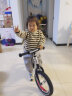 飞鸽 (PIGEON) 儿童平衡车自行车滑步车幼儿男女宝宝车小孩滑行车两轮无脚踏车童车滑行单车辐条轮银色 实拍图