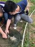 万能路亚饵蝗虫蝈蝈蟋蟀昆虫主攻淡水湖泊江河素食鱼家鱼青鱼草鱼鲤鱼鲢鱼胖头鳙鱼蚱蜢 4.5厘米3.5克-裂纹青头 实拍图