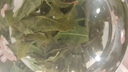 抱山春原味茶碧螺春蒙顶甘露工夫红茶嫩芽雀舌茉莉花茶 【名茶鉴赏礼盒】香高味醇 4g*5袋 独立袋讲究装 实拍图