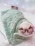 嬉皮狗（hipidog）宠物冬天毛毯猫毯子猫咪狗狗毯子小被子猫窝猫垫子保暖用睡垫地垫 暖冬绿 S：36*50cm 实拍图
