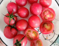 樱桃小西红柿  千禧圣女果 番茄 约500g  生鲜水果 健康轻食 实拍图