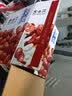 雪兰纯牛奶乳品营养早餐牛奶整箱 云南特产高原牧场鲜牛奶制品 纯牛奶200g*16盒 实拍图