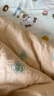洁丽雅纯棉四件套 全棉被套床单100%棉被罩床上用品 抱抱熊1.5/1.8米床 实拍图
