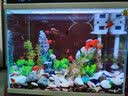 森森（SUNSUN） 超白玻璃小鱼缸客厅小型桌面家用水族箱生态免换水金鱼缸 HE480超白缸+假山景ZJ-18(内置棉和滤材) 实拍图