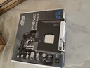 华硕（ASUS）12代CPU主板 i5 12400f 12490f 12600kf 散片 盒装 板U套装 H610M DDR4 i5-12490F盒装【三年联保】 实拍图