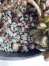 德沃多肥料多肉营养土2.5KG种植土壤花土植物基质颗粒土(小苗20%颗粒+80%土) 实拍图