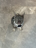 宠乐乖（CHONGLEGUAI）特粗全方管狗笼大型犬中型犬家用带厕所拉布拉多金毛狗笼子110 实拍图