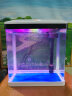 SICCE鱼缸懒人鱼缸家用客厅办公室金鱼缸中小型玻璃鱼缸过滤鱼缸 SO-300F（300*190*335） 实拍图
