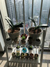 芷郁园艺仿藤编塑料花盆绿萝植物种植盆金色藤编圆盆 2个装 实拍图
