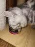 欢悦欢虎仔猫粮 全价海洋鱼猫粮20斤小鱼干双拼通用猫粮 三文鱼小鱼干猫粮10kg 实拍图