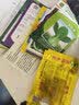 凤鸣雅世 四季蔬菜种子都市菜园速生阳台农家庭院盆栽油菜菠菜芹菜香菜籽 韩国泡菜用大白菜种子10克 实拍图