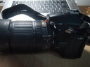 尼康/Nikon D5200 D5300 D5500 D5600 二手单反相机学生新手入门级数码相机 D5600（18-140mmVR)套机 99新 晒单实拍图