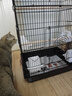 威毕家用鸟笼鹦鹉笼子超大中号别墅特大型防溅粮繁殖玄凤虎皮牡丹专用 黑笼【5件套】秋千+站杆+食盒 实拍图