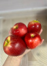京鲜生 新西兰POSY小花苹果 6粒定制礼盒装 单果重约120-150g 生鲜苹果 实拍图